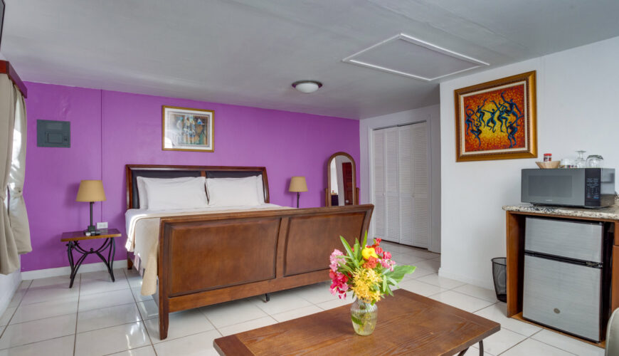 Standard Room One Bed (One King Bed)
