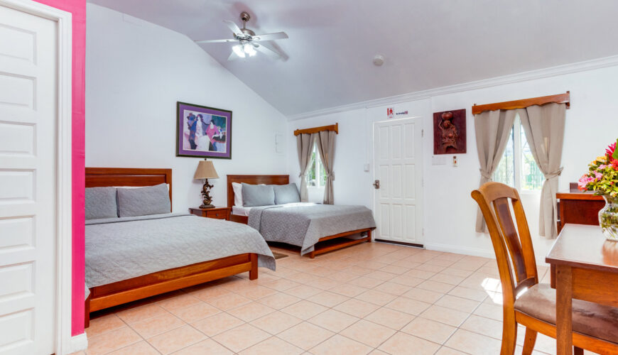 Standard Room Two Beds (One Queen & One Full Bed)