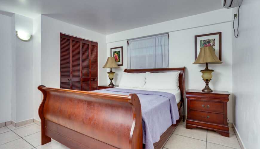 Superior Apartment w/ Full Kitchen (One Queen bed)