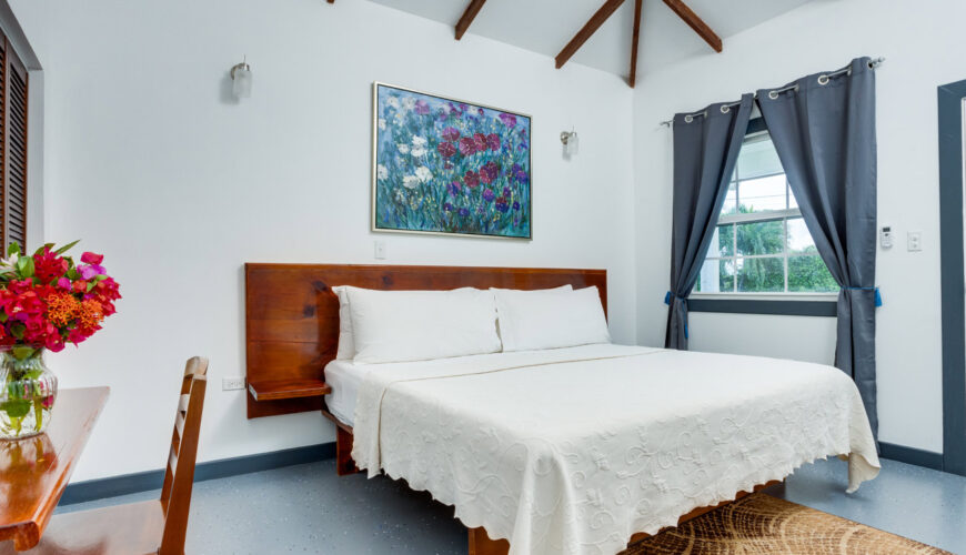 Comfort King Rooms (One King Bed)