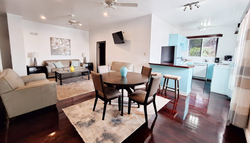 Superior Queen Apartment w/Kitchen (One Queen Bed)