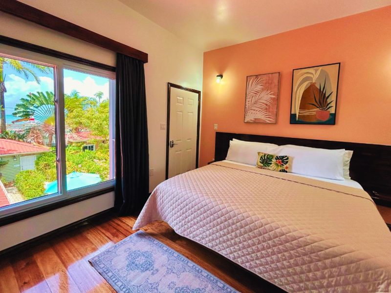 Premium Rooms (One King Bed)