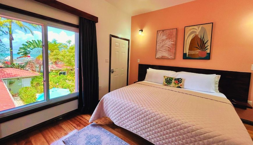 Premium Rooms (One King Bed)